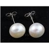 Image 1 : 17.01CTW WHITE RICE PEARL EARRING PHILIPPINES