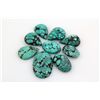 Image 1 : Turquoise 171.72ctw MixShape&Sizes LooseGemstone
