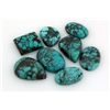 Image 1 : Turquoise 110.00ctw MixShape&Sizes LooseGemstone