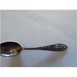 New Mexico - 4 ¼” sterling spoon