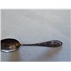 Image 1 : New Mexico - 4 ¼” sterling spoon