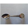 Image 1 : Virginia 4” spoon
