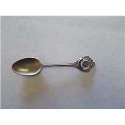 New Mexico spoon