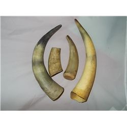 4- Misc. sizes an shape Cow Horns