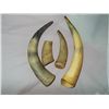 Image 1 : 4- Misc. sizes an shape Cow Horns
