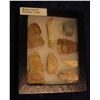 Image 2 : 1369. Frame of Artifacts Locally found in Southern Iowa.