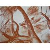 Image 5 : KVAPIL CHARLES KVAPIL Signed Painting French