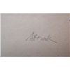 Image 3 : STRUCK HERMANN STRUCK Hand Signed Litho German Judaica