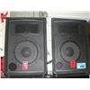 Image 1 : Pair of fender electronics PA speakers