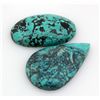 Image 1 : Turquoise 124.50ctw Oval&PearCut LooseGemstone