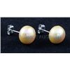 Image 1 : 14.86CTW BROWN RICE PEARL EARRING PHILIPPINES