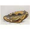 Image 1 : MOUNTED FISH