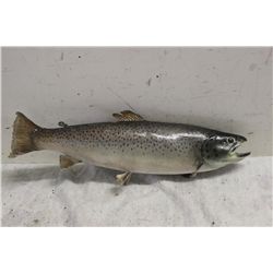 MOUNTED FISH