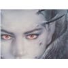 Image 2 : Evolution Print Art Luis Royo Signed Horned Lady