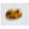 Image 1 : .45ct GOLDEN CITRINE GEMSTONE - *NICE GEMSTONE!!