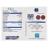 Image 3 : EGL Certified Diamond Round 0.50 ctw F,SI1