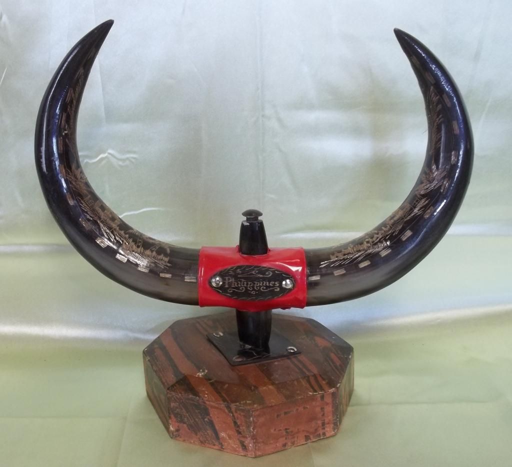Philippine Carabao Or Water Buffalo Etched Horns