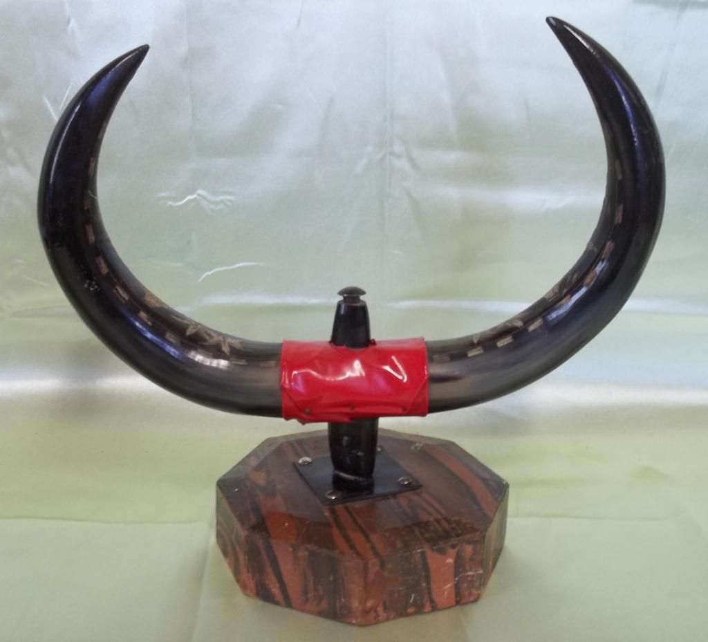 Philippine Carabao Or Water Buffalo Etched Horns