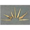 Image 1 : - Prehistoric Southwestern Awls and Tool Fragments (38 items/2 trays)