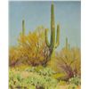 Image 1 : Jimmy Dyer - Cactus