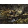 Image 1 : Michael Coleman - On North Fork - Trout Pool