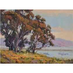 Debra Huse - Morro Bay Vista