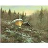 Image 1 : Douglas Ricks - Winter's Eve