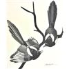 Image 1 : Tony Angell - Magpies