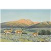 Image 1 : Bill Freeman - Antelope in Chamisa