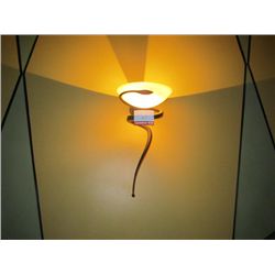 Wall Mount Light