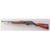 Image 2 : Winchester Model 1910 SL Semi-Automatic Rifle
