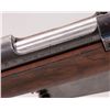 Image 6 : Argentine Model 1891 Engineer's Carbine