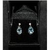 Image 1 : Aquamarine and diamond earrings