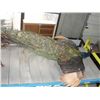 Image 1 : Stuffed and mounted trophy peacock
