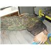 Image 2 : Stuffed and mounted trophy peacock