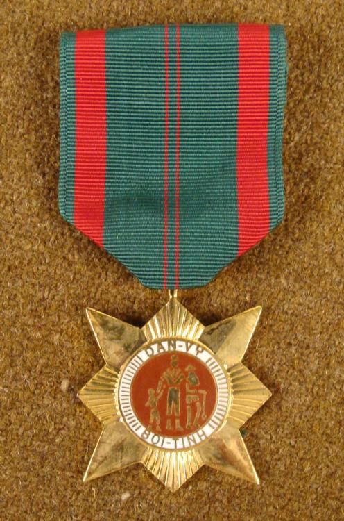 U S VIETNAM SERVICE MEDAL RIBBON STARBURST IN GILT