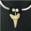 Image 2 : Shark Ivory Choker Necklace (JEW-2951)