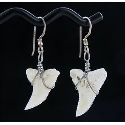 Sterling Shark Ivory Earrings (JEW-1958)