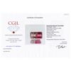 Image 2 : 1.57ct Watermelon Tourmaline Appraised $650 (GEM-44402)