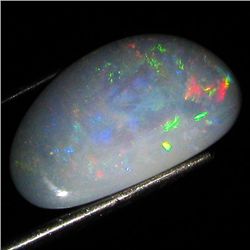3.27ct Australian Black Opal Doublet Full Fire (GEM-36006)