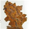 Image 1 : 180ct Crystalized Coprolite Dinosaur Doo Cluster (MIN-001139)