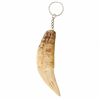 Image 1 : Tibet Resin Boar Fang Keychain (ANT-592)