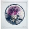 Image 1 : Bruce Martin Scott, Bullthistle, Signed Lithograph