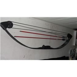 Compound Bow