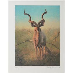 Framed limited edition color print (822/1500)  of an African Kudu, hand signed by famous  wildlife a