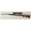 Image 2 : Winchester Model 70-XTR featherweight, .270  cal. bolt action sporting rifle with  Swarovski 2.5x 10