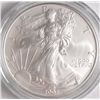 Image 1 : 2007  "W" WEST POINT BURNISHED UNCIRCULATED AMERICAN SILVER EAGLE
