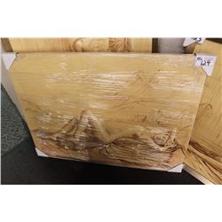 PRINT 49X 36 -"NUDE"