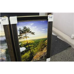 FRAMED PRINT BY ANDREW COLLETT- "PINE CLIFF"