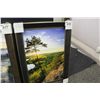 Image 1 : FRAMED PRINT BY ANDREW COLLETT- "PINE CLIFF"